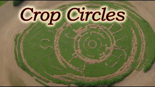 Crop circles 2023-The never-ending mystery of the world,crop circles odie leigh