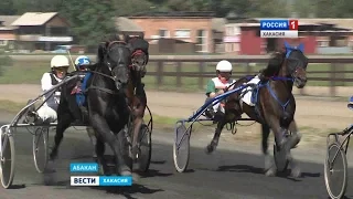 Лучшие наездники и жокеи Сибири съехались в Абакан 29.08.2016