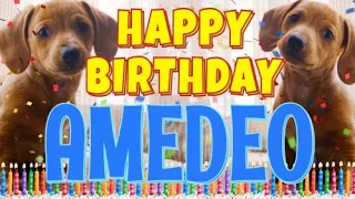 Happy Birthday Amedeo! ( Funny Talking Dogs ) What Is Free On My Birthday