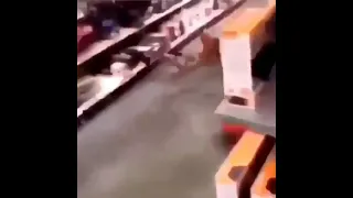Guy gets knocked out with shopping cart