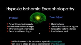Imaging of pediatric Intracranial Cerebrovascular diseases 2013   Dr Mamdouh Mahfouz   YouTube