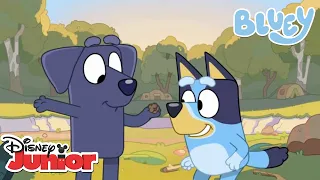 Çubuk Ev! | Bluey | Disney Türkiye