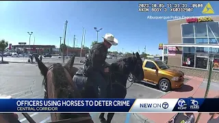 Man backhands Albuquerque police horse