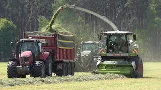 CLAAS JAGUAR 940 am Gras häckseln / Abfahrer FENDT 724, MASSEY FERGUSON 7726 & FENDT 930 / SOUND  4K