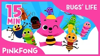 Bugs' Life | Ants in My Pants and more | +Compilation | Bug Songs | Pinkfong Songs for Children