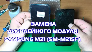 Замена дисплейного модуля Samsung Galaxy M21 SM M215F