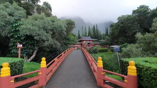 The Byodo-In Japanese Buddhist Temple at Oahu, Hawaii in 4K