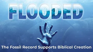 The Fossil Record Supports Biblical Creation