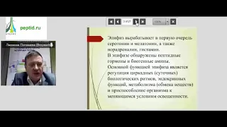 Эндолутен (Эпиталон, Эпиталамин, Пинеамин). Пептид эпифиза. Второй вэбинар.