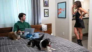 Two Strangers Accidentally Fall in Love with each other Because of their Dogs | Puppy love Recap