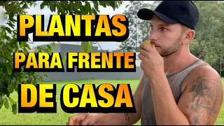 JARDIM PARA FRENTE DE CASA | Henrique Buttler