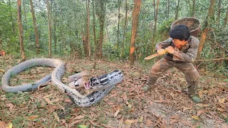FULL VIDEO: 200 days surviving alone in the wilderness. face dangerous ferocious snakes. Survival.
