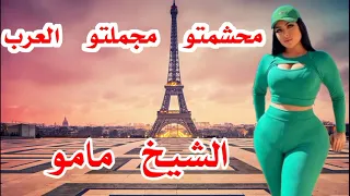 الشيخ مامو-----محشمتو مجملتو العرب cheikh mamou ma7chemto majamlto