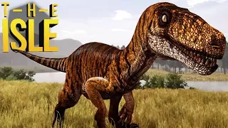 The Isle Realismo - Predadores Perigosos, Grupo De Utahraptor! | Dinossauros (#134) (PT-BR)