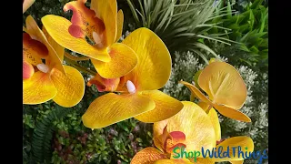 ShopWildThings Yellow Orchids for Designing Tropical, Hawaiian Style Centerpieces Floral Designs