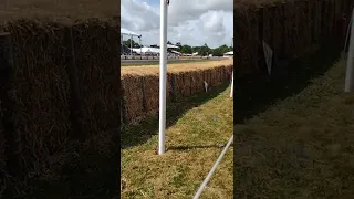 Jaguar Ctype at Goodwood FOS