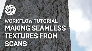 RealityCapture Tutorial: Making Seamless Texture From Scans