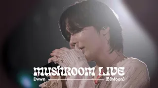 MUSHROOM LIVE S04 다운 Dvwn - 문(Moon) (NCT DREAM Cover)