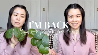 How My Plants Are Doing After 2 YEARS | I'm Back