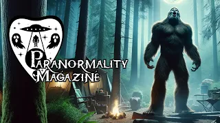 “DID WE CONJURE A BIGFOOT ENCOUNTER?” and More Fortean-Related Stories! #ParanormalityMag