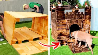 ¡Ideas creativas de casas para perros para tu amigo peludo!