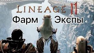 Lineage 2m набор опыта на 62лвле