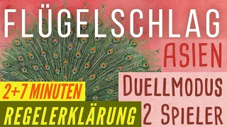 Flügelschlag Asien Erweiterung Regeln Anleitung Duel Version 2 Spieler + Übersicht