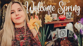 Ostara 🐇 Witch's Spring 🌷 Rituals and Simple Ideas