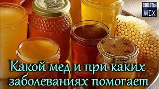 Какой мед и при каких заболеваниях помогает. Целебные свойства меда