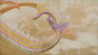 Biblaridions "Alien Biospheres" - Burpopo Animations Compilation