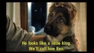 Inspector Rex S1 E1 Last Stop Vienna W/English Subs