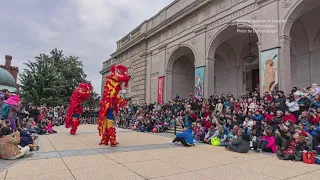 Lunar New Year Family Festival begins at the National Museum of Asian Art