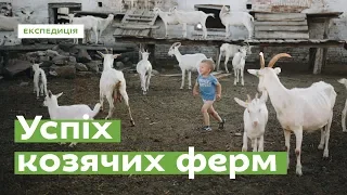 Goat Farms: A Success Story • Ukraïner