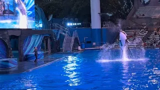 SeaWorld Orlando Orca Encounter Gone Wrong! July, 24th 2022