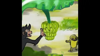 The  Monkey  and the  Turtle