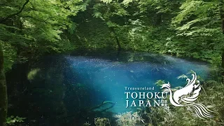 Fresh Green in Tohoku, Japan 4K (Ultra HD) - 東北の春| JNTO