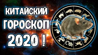 Что ждет в год Белой Металлической крысы 2020 все знаки китайского гороскопа