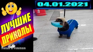 РЖАКА до Слез  BEST CUBE  Лучшие Видео из Инстаграм  BEST COUB  Видео Приколы  Отборные ПРИКОЛЫ Кубы