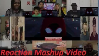 SPIDER MAN  INTO THE SPIDER VERSE   Official Teaser Trailer Reaction Mashup Video