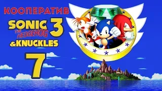 Sonic 3 & Knuckles - Кооператив - Прохождение игры на русском - Mushroom Hill [#7]