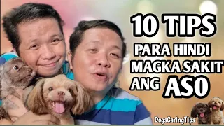 10 TIPS NA DAPAT TANDAAN PARA HINDI MAG KASAKIT ANG ASO|Dogs Caring Tips