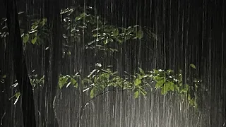 Sleep Instantly in 2 Minutes with Heavy Rain & Dense Thunderstorm Sounds in Foggy Forest at Night