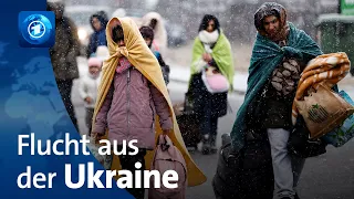 Ukraine-Krieg: Mehr als 500.000 Menschen auf der Flucht