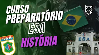 POVOS INDÍGENAS - HISTÓRIA DO BRASIL PARA A PROVA DA ESA!