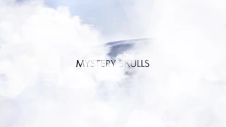 Mystery Skulls - Erase Me [Official Audio]