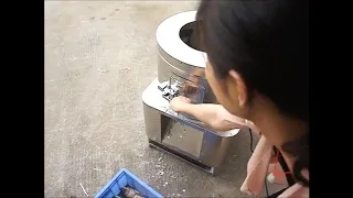 Automatic Fish Scaling Machine