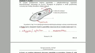 PROTISTY - Budowa pantofelka - ZADANIA MATURALNE Z BIOLOGII 🌱