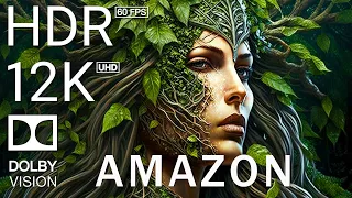 12K HDR 60FPS DOLBY VISION - AMAZON RAINFOREST - TRUE CINEMATIC