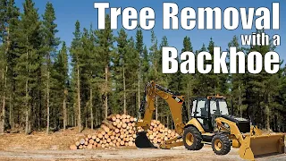 Easy Tree and Stump Removal with a backhoe