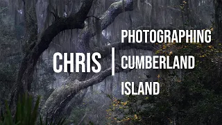 Photographing Cumberland Island | A Magical Day in an Iconic Location